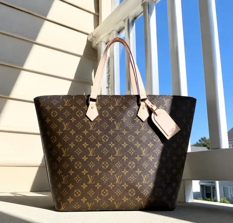 Monogram Canvas All-In MM Travel Bag M47029 photo review